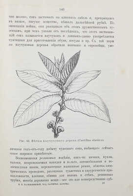 [Собрание В.Г. Лидина] Васильковский П.Е. Чудеса растительного царства. Популярные очерки из жизни растений. СПб., 1912.